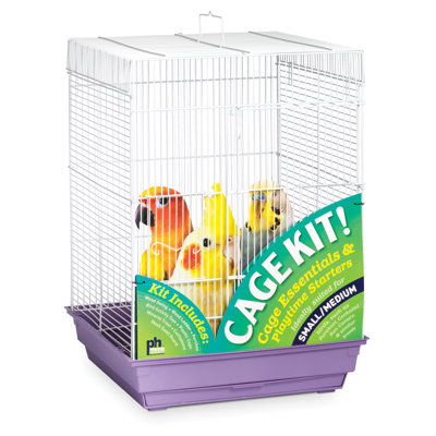 22'' Plastic Flat Top Starter Bird Kit with Perch