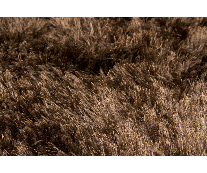Celecot White Area Rug, Rectangle 2' x 3', Brown