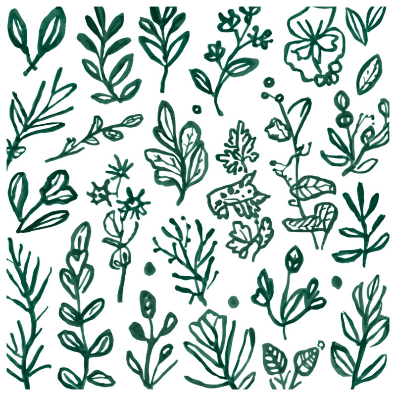 Toile tendue sur toile Green Botanical Illustration, 16 po x 20 po