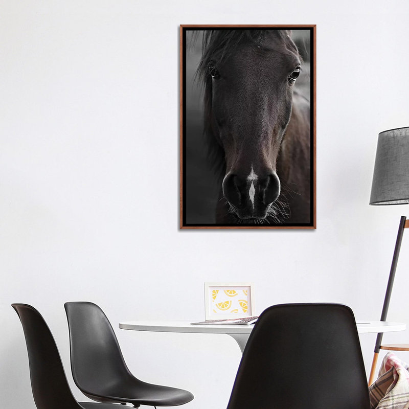 Imprimé cheval foncé par Monika Strigel, Pas de tapis, H 40 po x l 26 po x P 1,5 po, Toile avec cadre en bois brun classique