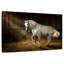 Mare-108842705