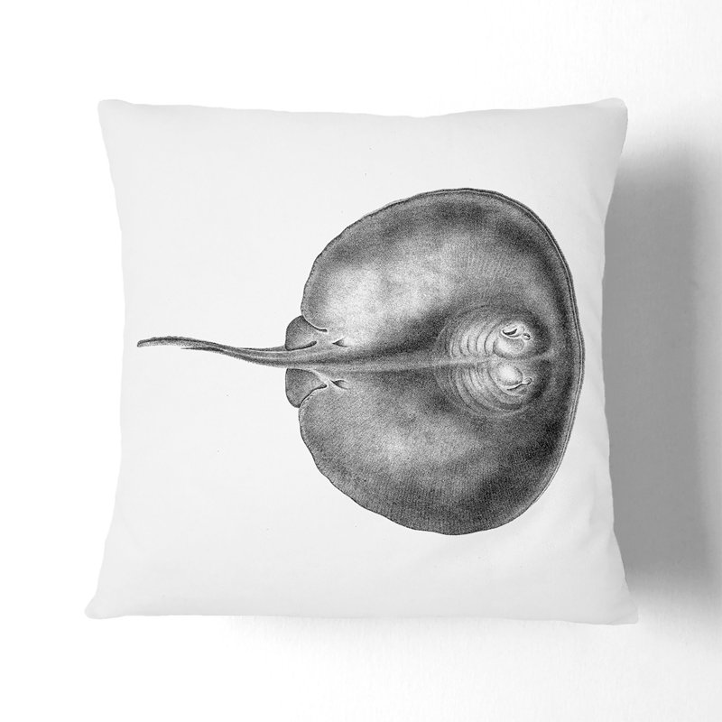 Square Cushion, Black, 55cm H x 55cm W x 20cm D