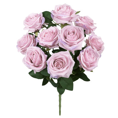 Queen Rose Bush