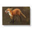 Red Fox by Bruno Liljefors - Wrapped Canvas-61837270