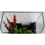 Aquarium 1 gallon AquaTerrium™