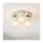 Rudaigh Glass Flush Mount-66595408