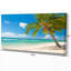 «Landscape Palm Tree over White Sand», reproduction de photo sur toile tendue-906201223