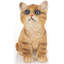 Animals Figurines & Sculptures