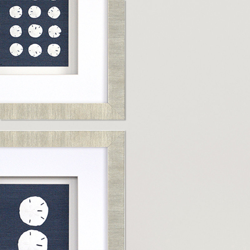 " Sand Dollars " 4 - Pieces