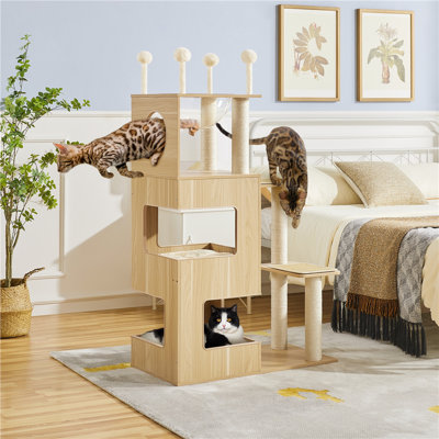 Emberlynne 53'' H Cat Tree