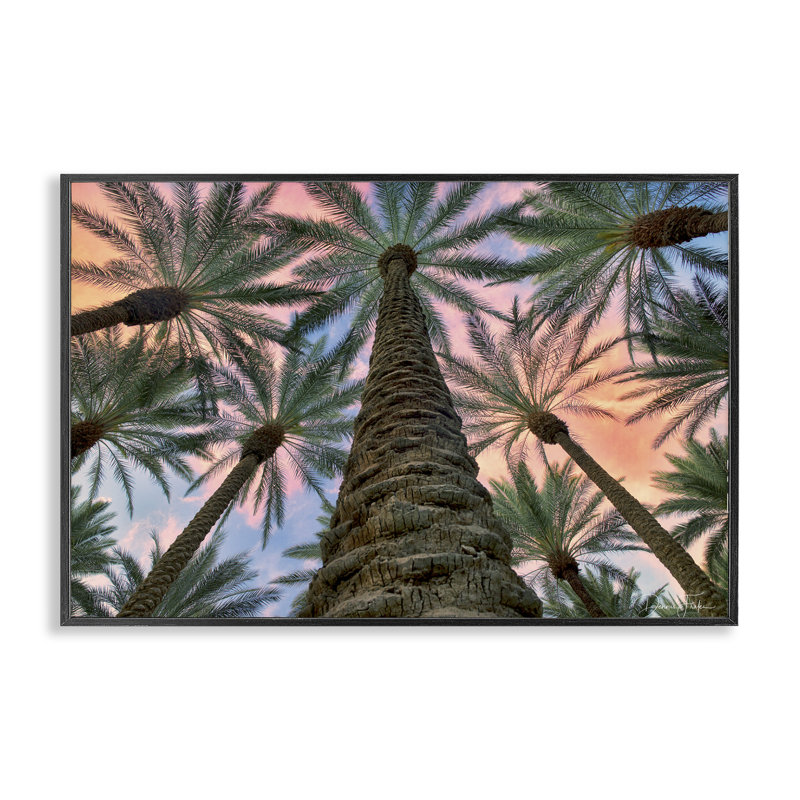 «Tall Overhead Palms», estampe numérique par Dennis Frates, Giclée encadrée noir minuit, H 16 po x l 24 po