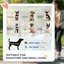 Pet Stroller Foldable Travel Carriage with Brake Basket Canopy Black