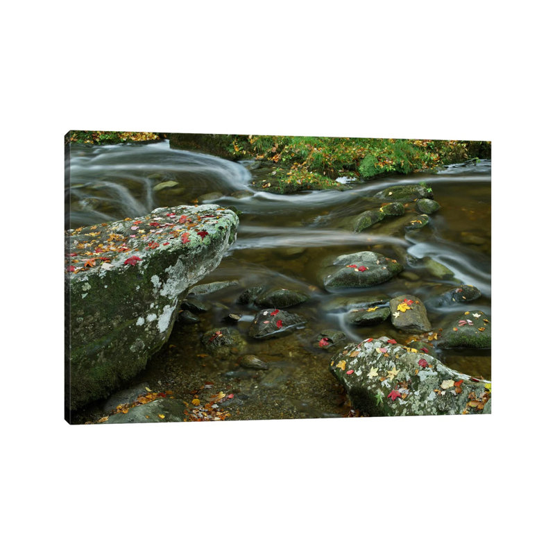 Laurel Creek, Great Smoky Mountains National Park, Tennessee by Tim Fitzharris - Gallery-Wrapped Canvas Giclée on Canvas