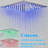 Rain Dual Shower Head 2.5 GPM GPM