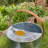 Metal Watering Can