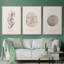 Shore Treasure Study I 3 pièces-97711701-97711695