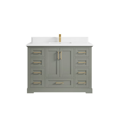 Esin 48'' Single Bathroom Vanity with Quartz Top