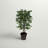 48'' Faux Ficus Tree in Wicker/Rattan Basket