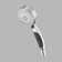 Universal Showering Components Multi Function Handheld Shower Head with TouchClean