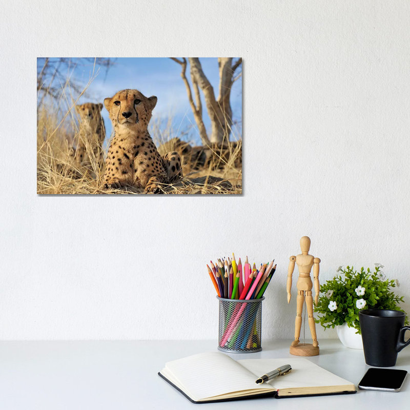 Cheetah - Close Up And Personal by Elmar Weiss - Wrapped Canvas Print, 20.32 cm H x 30.48 cm W