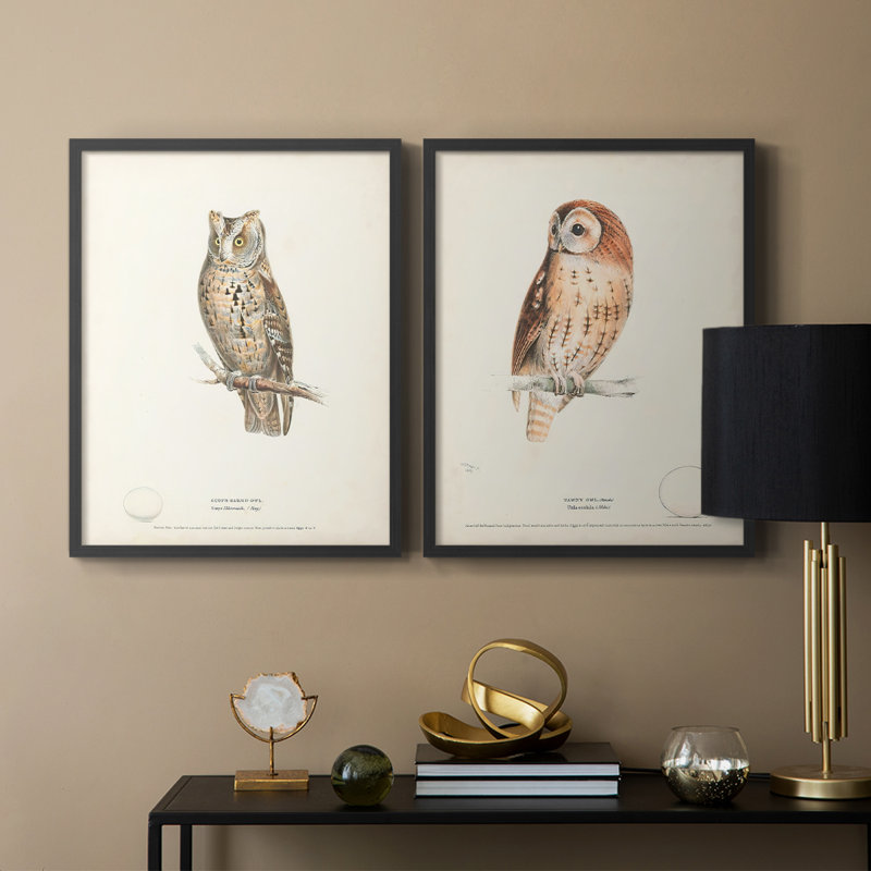 Scops Eared Owl - reproduction encadrée de qualité supérieure - prête à être accrochée - aucun clou requis - aucun clou requis
