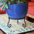 Stenya Metal Pedestal Plant Stand