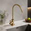 ROBOHIGH Kitchen Faucet Side Spray