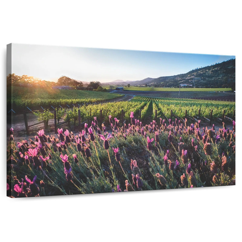 Alvord Napa Valley, vignes et fleurs, H 8 po x l 12 po