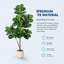 158 cm H Faux Plant