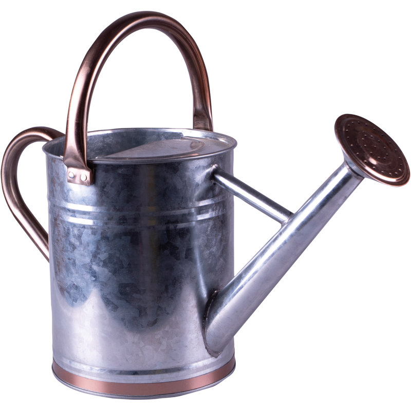 Brambly Cottage Sprinkler Watering Can 4 litre , Silver/Bronze