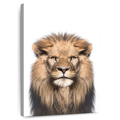 Noble lion Brampt