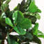 Faux Fiddle Leaf Fig Tree in Pot-927493057