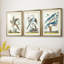 Pastel Birds IV - impression encadrée de qualité supérieure sur mesure mat - 3 pièces-1195610756-1195610776