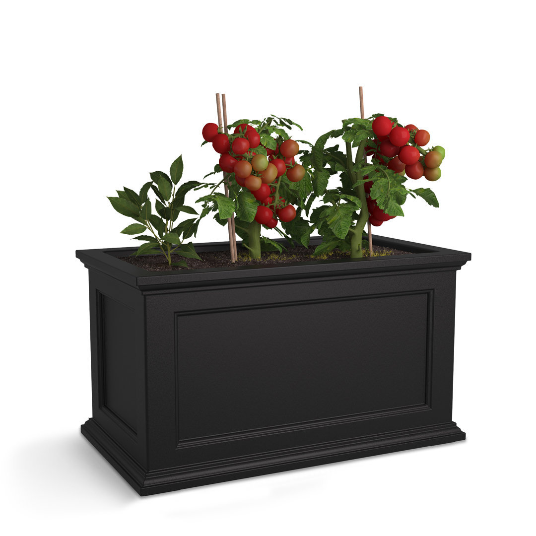Anastasiya 20"x36" Resin Planter with Water Reservoir Winston Porter 
