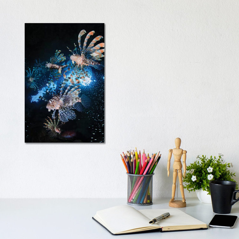 Star Hunt by Andrey Narchuk - Wrapped Canvas Print, 30.48cm H x 20.32cm W x 1.91cm D