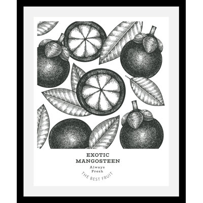 Exotic Mangosteen - Single Picture Frame Print