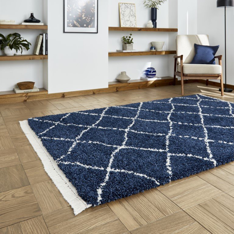 Pechler area rug Machine Woven Navy, Rectangle 200 x 290cm