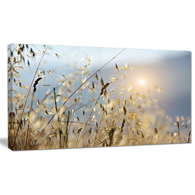 Typique, Toscane, coucher de soleil, Italie - reproduction de photo sur toile tendue