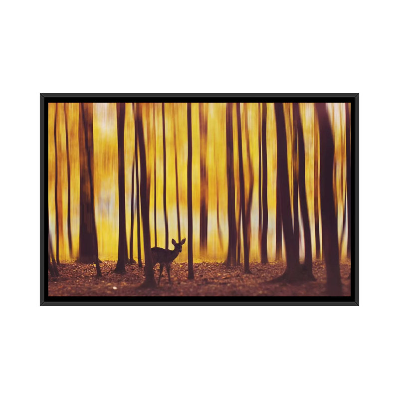 Le cerf dans le brouillard par Hobopeeba - reproduction de photo, H 18 po x l 26 po x P 1,5 po, Toile avec cadre noir