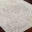 Beige Traditional Rug, Bordered Floral Easy to Clean Rug For Living Room, Dining Room, Bedroom-232467211