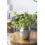 Vase en aluminium-589054269