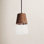 Remora Single Light Steel Dimmable Pendant