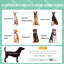 Polyester Pet Bed