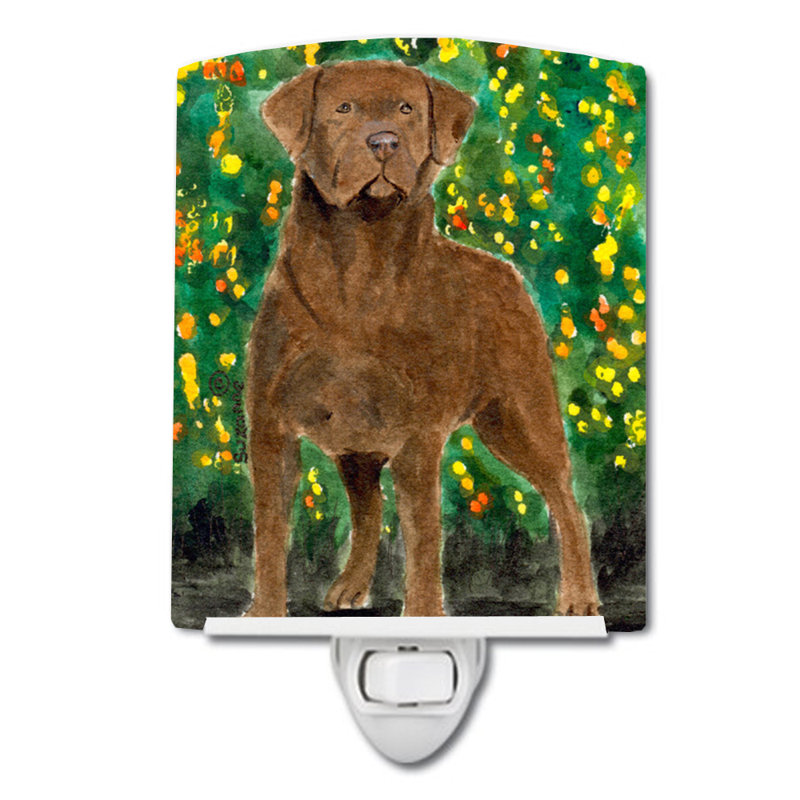 Éclairage de nuit en céramique chesapeake bay retriever
