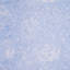 Quicksilver/surface de glaçons réversible simple-615021914