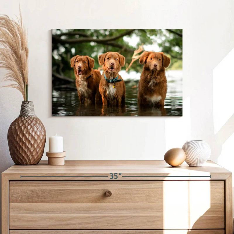 Brampt Tollers In The Water, 26" H x 39" W