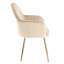 Ariella Velvet Armchair-1270113695-1325350181