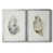 Argent