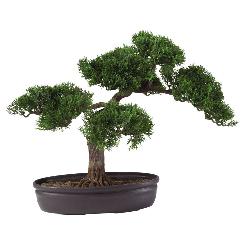 Cèdre artificiel en pot, H 16 po x l 16,5 po x P 12 po