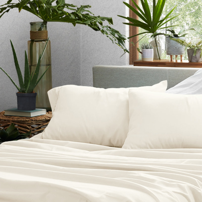 Ivory Hypoallergenic Cotton Polyester Standard Pillowcase Set